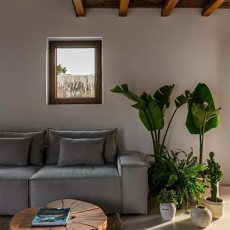 Charisma And Wellness Club 酒店 Plintri